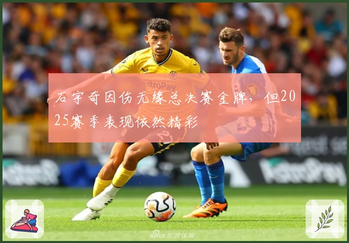 石宇奇因伤无缘总决赛金牌，但2025赛季表现依然精彩
